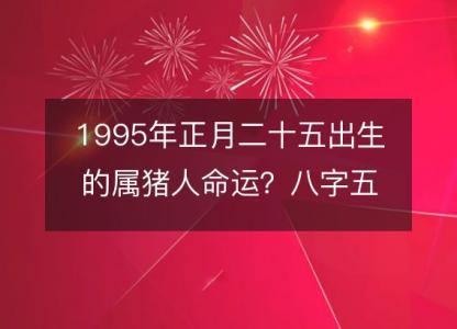 1995年正月二十五出生的属猪<font color='red'>人命</font>运？八字五行缺什么！性格详解