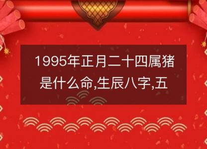 1995年<font color='red'>正月</font>二十四属猪是什么命,生辰八字,五行,命运解析