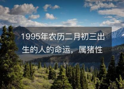 1995年农历二月初三出生的人的命运，属猪<font color='red'>性格特点</font> 八字五行