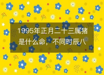 1995年<font color='red'>正月</font>二十三属猪是什么命，不同时辰八字五行查询