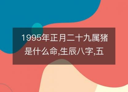 1995年<font color='red'>正月</font>二十九属猪是什么命,生辰八字,五行,命运解析