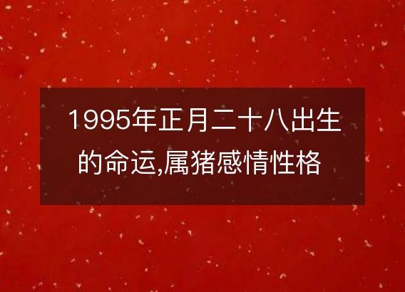 1995年正月二十八出生的命运,属猪感情性格 事业财运