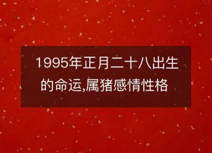 1995年<font color='red'>正月</font>二十八出生的命运,属猪感情性格 事业财运