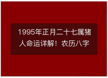 1995年正月二十七属猪<font color='red'>人命</font>运详解！农历八字五行缺什么 婚姻事业