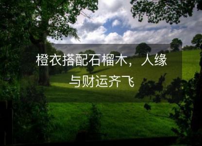 橙衣搭配石榴木，人缘与<font color='red'>财运</font>齐飞