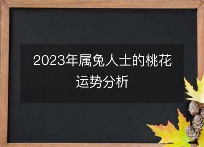 2023年属兔人士的桃花<font color='red'>运势</font>分析