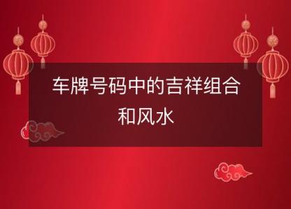 车牌号码中的吉祥<font color='red'>组合</font>和风水