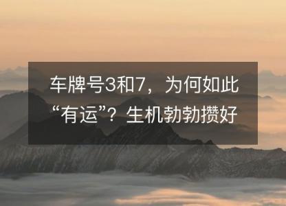 车牌号3和7，为何如此“有运”？生机勃勃攒<font color='red'>好运</font>