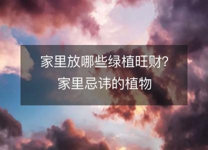 家里放哪些绿植旺财？家里<font color='red'>忌讳</font>的植物
