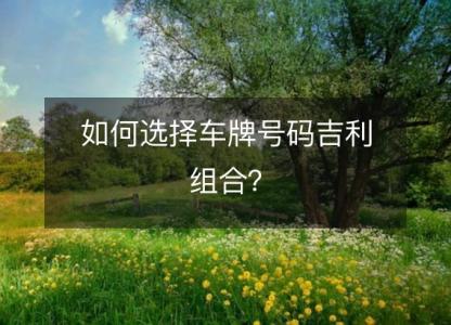 如何选择车牌号码吉利<font color='red'>组合</font>？