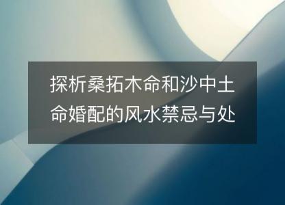 探析桑拓木命和沙中土命<font color='red'>婚配</font>的风水禁忌与处理方式
