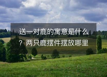 送一对鹿的<font color='red'>寓意</font>是什么？两只鹿摆件摆放哪里好？